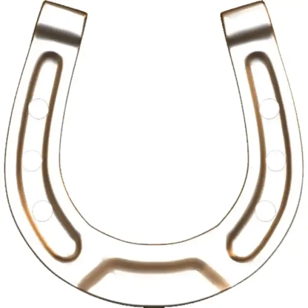 Horseshoe