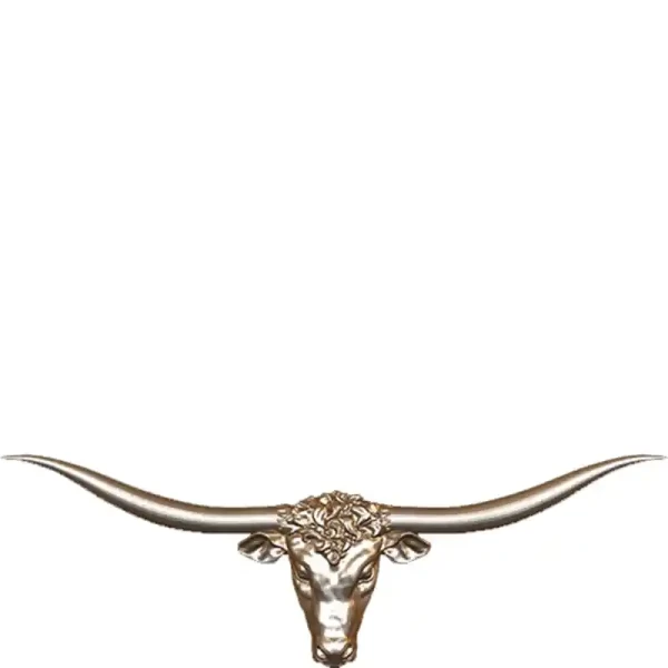Longhorn Steer